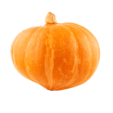 Hokkaido-græskar