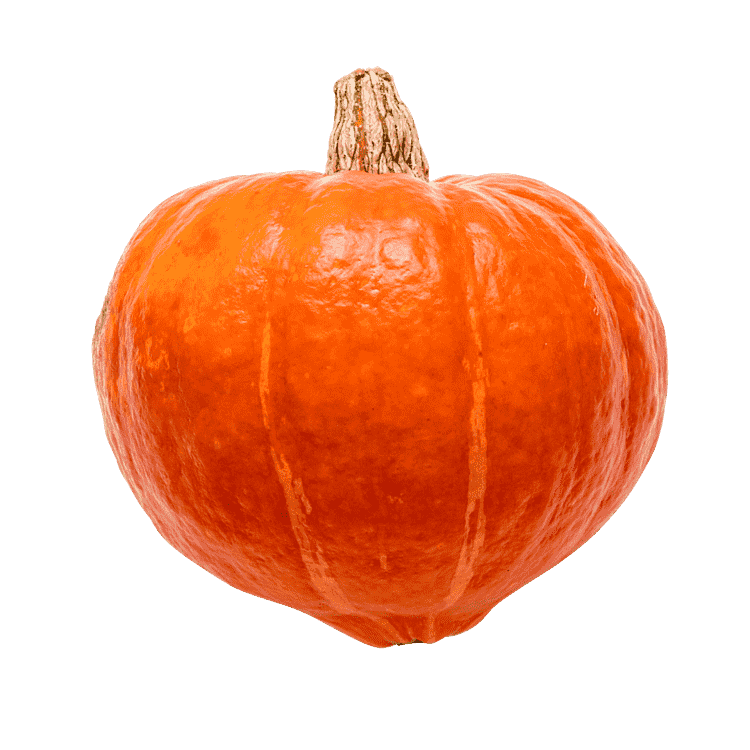 Hokkaido græskar