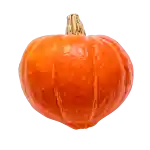Hokkaido-pumpa