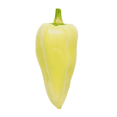 Hvid 'Hungarian' peberfrugt