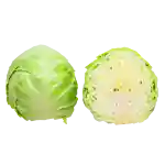 Hvidkål (DK)
