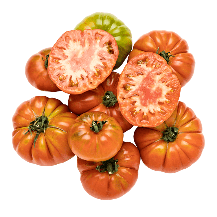 Javiers Marmalindo-tomatkasse