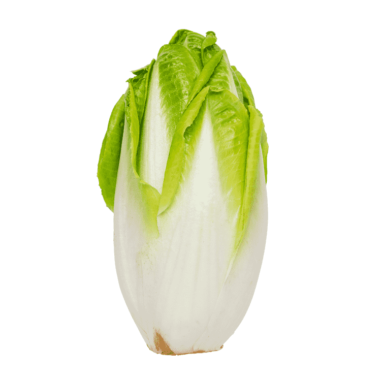 Julesalat