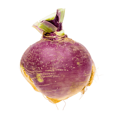 Kålrabi