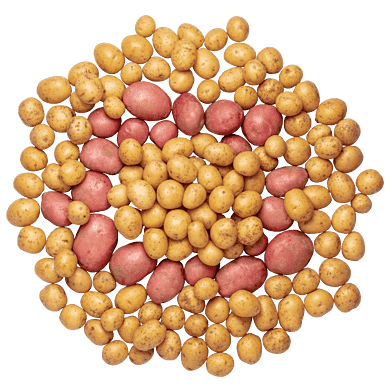 KartoffelKassen