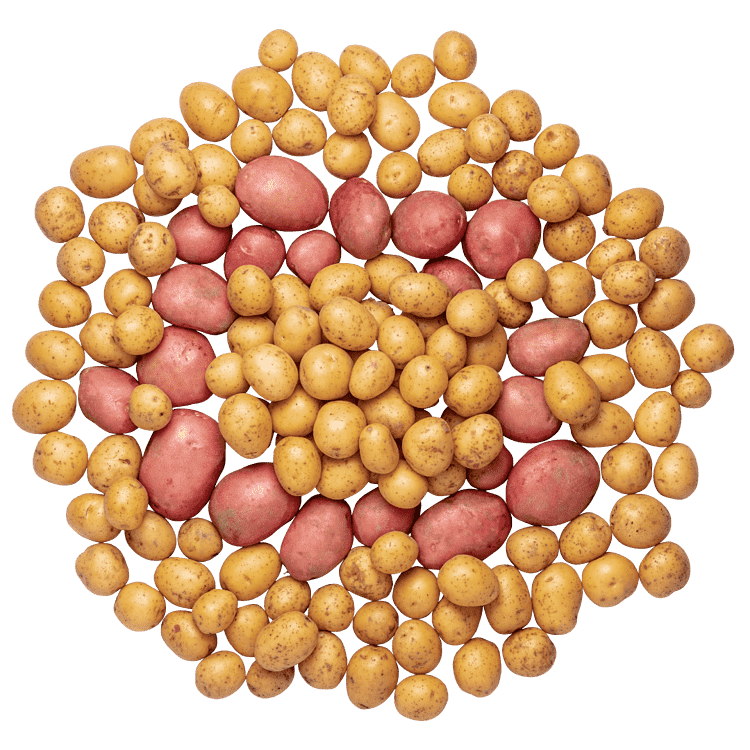 KartoffelKassen