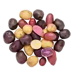 Kartofler Tricolore (DK)