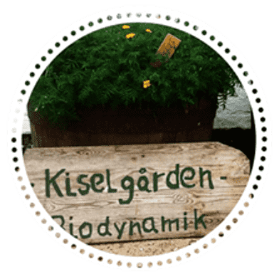 KiselKassen