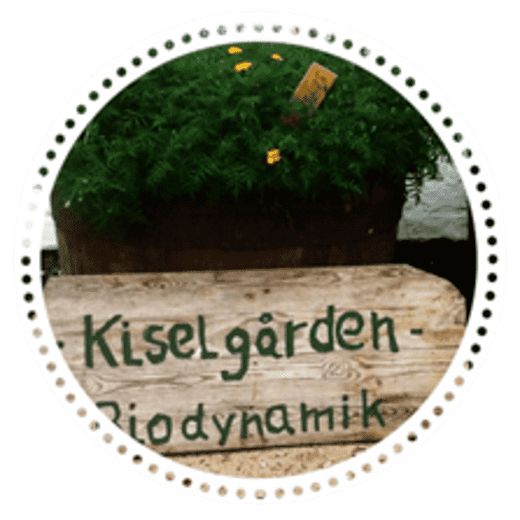 KiselKassen