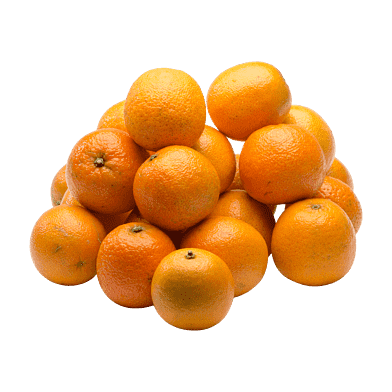 KlementinPosen