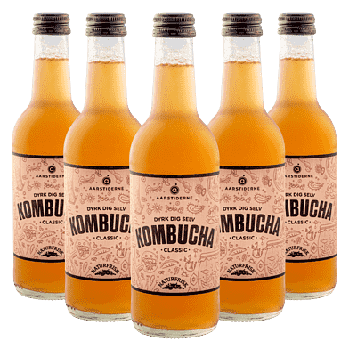 Kombucha – Classic