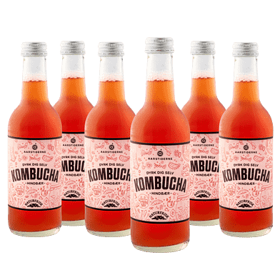 Kombucha – Hindbær