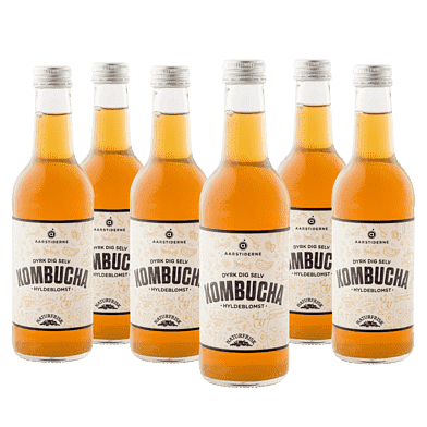 Kombucha – Hyldeblomst