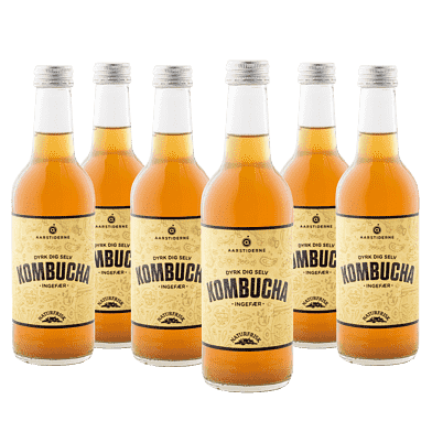Kombucha – Ingefær