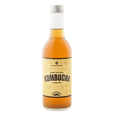 Kombucha – Ingefær