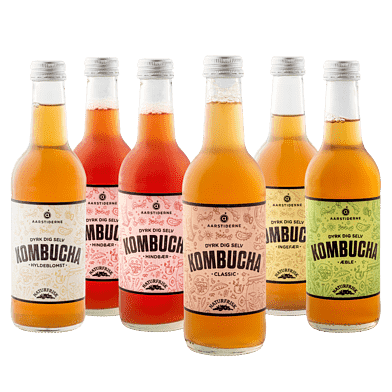 Kombucha Smagekasse