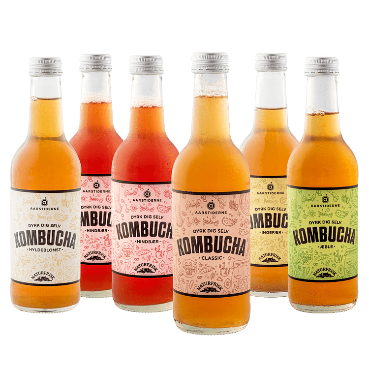 Kombucha Smagekasse