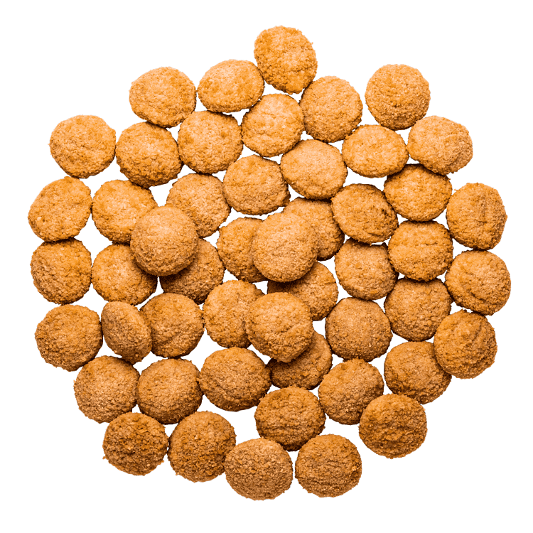 KyllingenuggetKassen