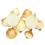 Lök i nät