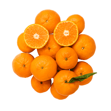 Gold Nugget-mandariner