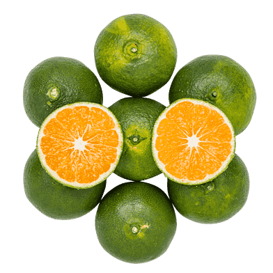 Grønne satsuma-mandariner