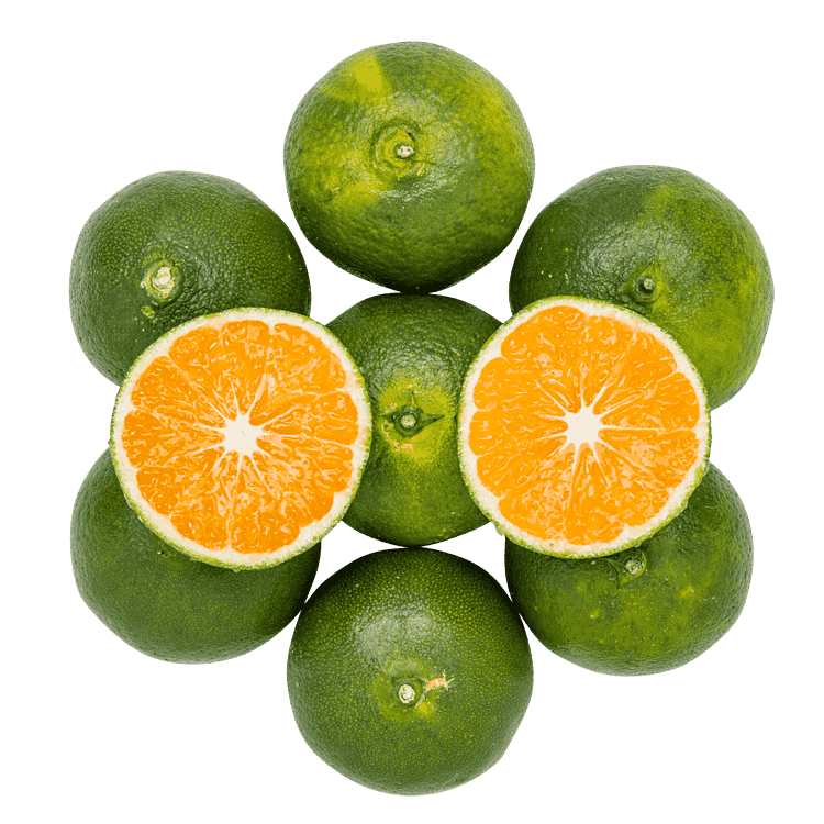 Grønne Satsuma-mandariner