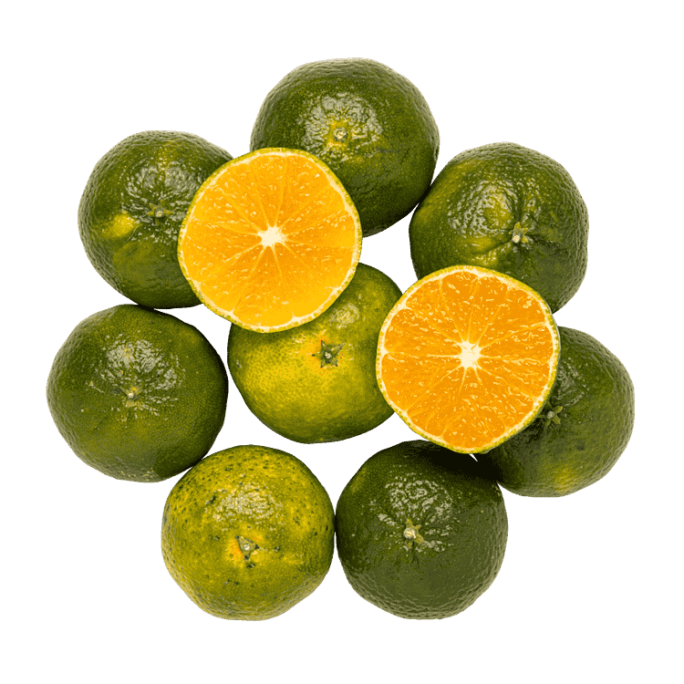 Grønne mandariner