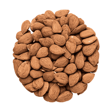 Mandlar