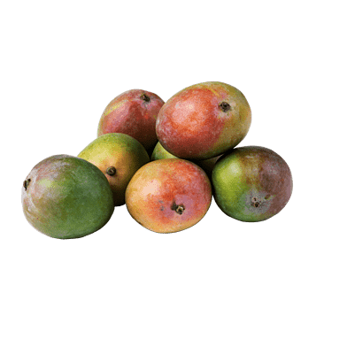 MangoPosen