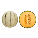 Cantaloupe-melon