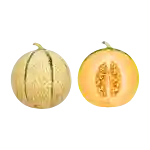 Charentais-melon