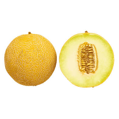 Galia-melon