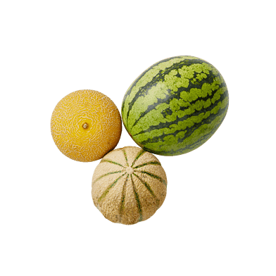 MelonKassen