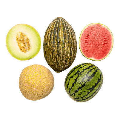 MelonKassen