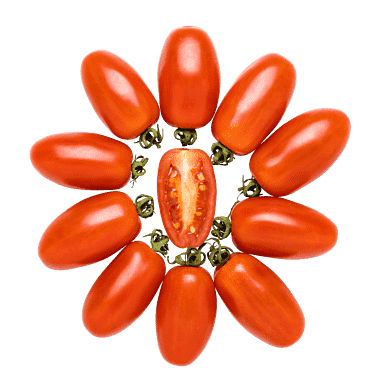 Mini San Marzano-tomater, danske