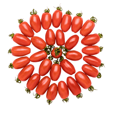 Mini San Marzano-tomater