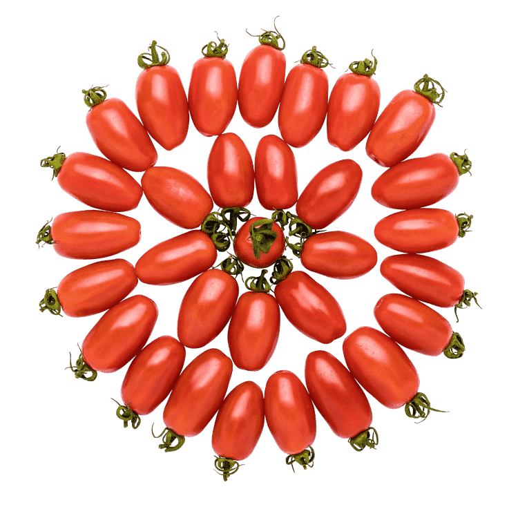Mini San Marzano-tomater
