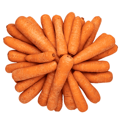 Morötter