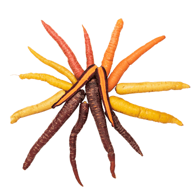 Morötter - flerfärgade