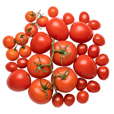 Pacos TomatKasse