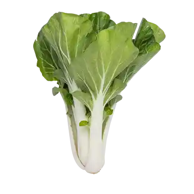 Pak choi