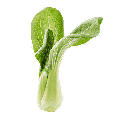 Pak choy