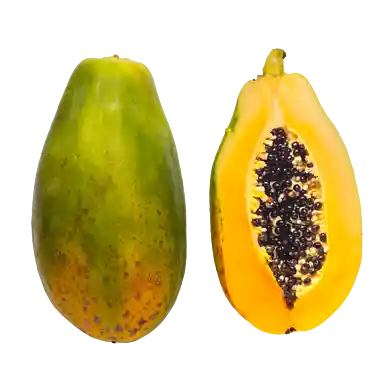 Papaya