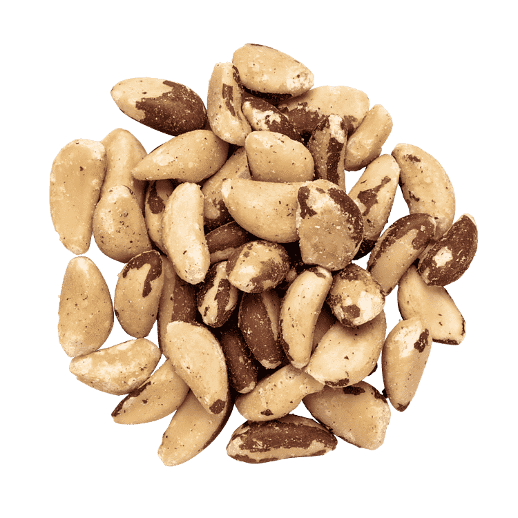 Paranötter