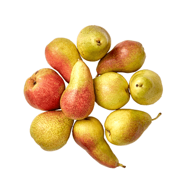 Päron