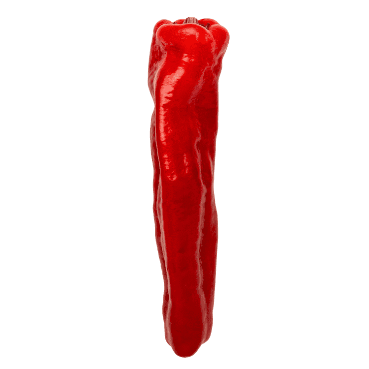 Rød palermo-peberfrugt