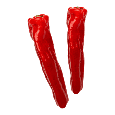 Rød palermo-peberfrugt
