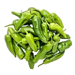 Pimento Padrón