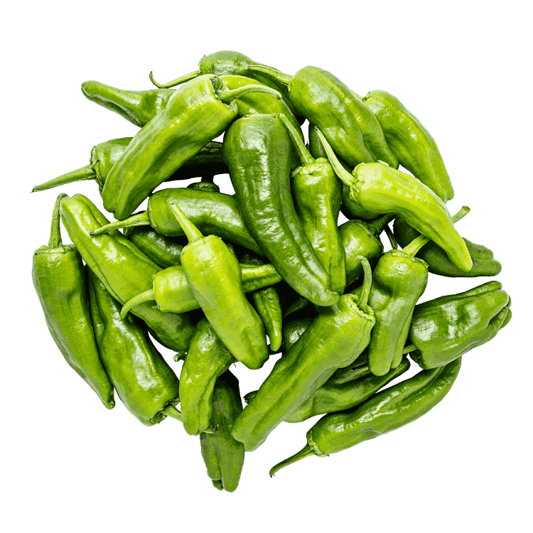 Pimento Padrón