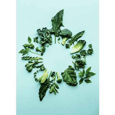 Plakat Broccoli